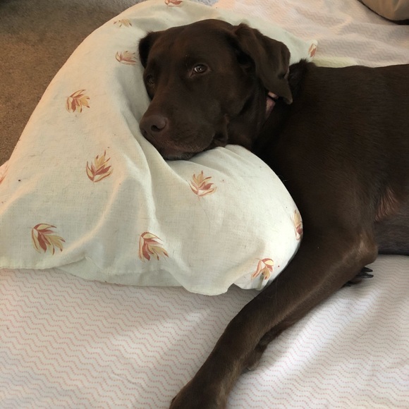 Meet your Posher, Diane - Picture 2 of 8